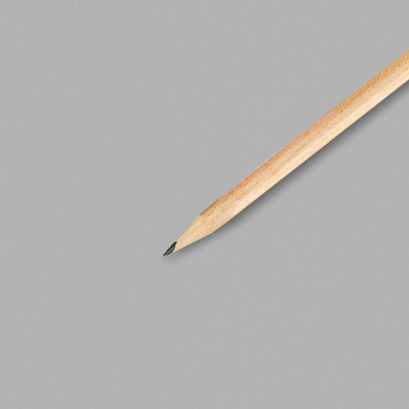 Dixon Ticonderoga EnviroStiks